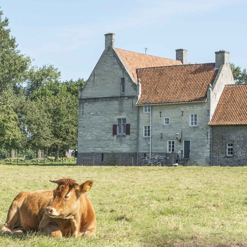 De Grote Hegge Thorn