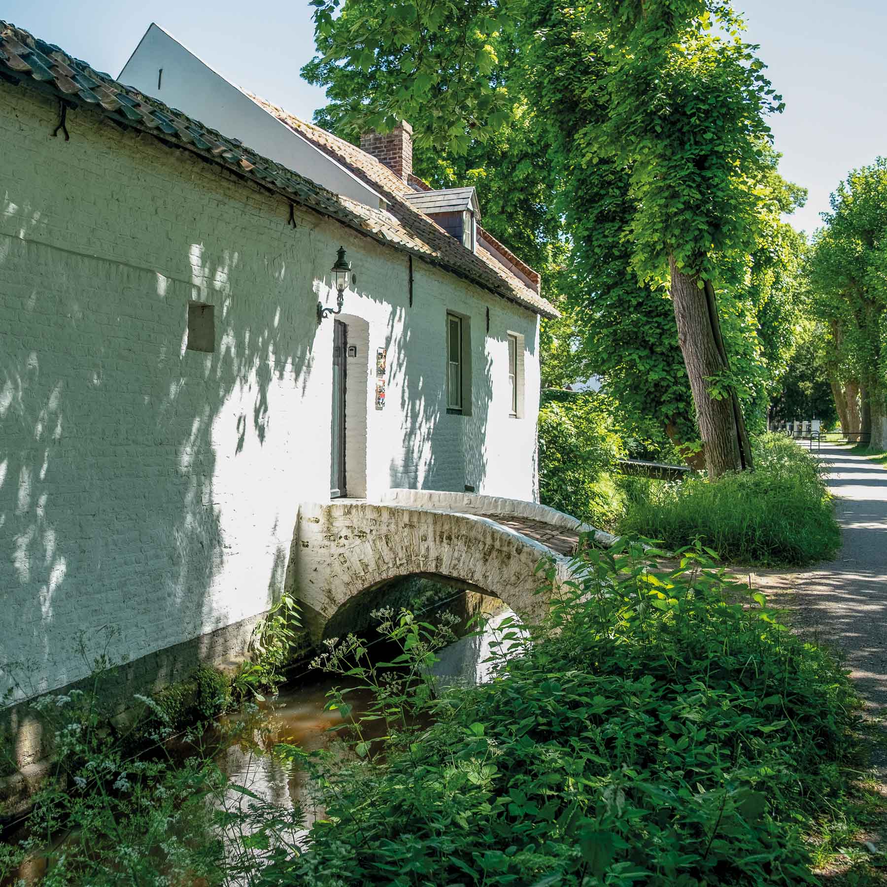 Laan onder de bomen Thorn